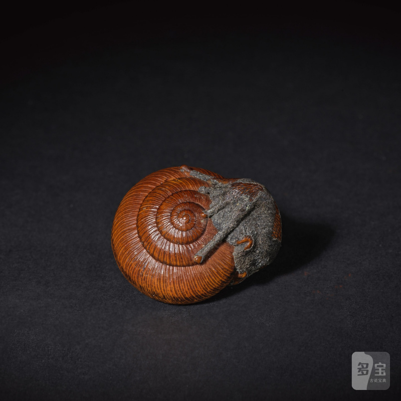 木彫根付 蝸牛 銘「自侃 眼文」 19世紀 | NETSUKE EN BOIS REPRÉSENTANT UN ESCARGOT